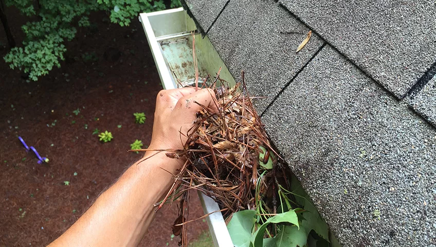 Gutter Cleaning